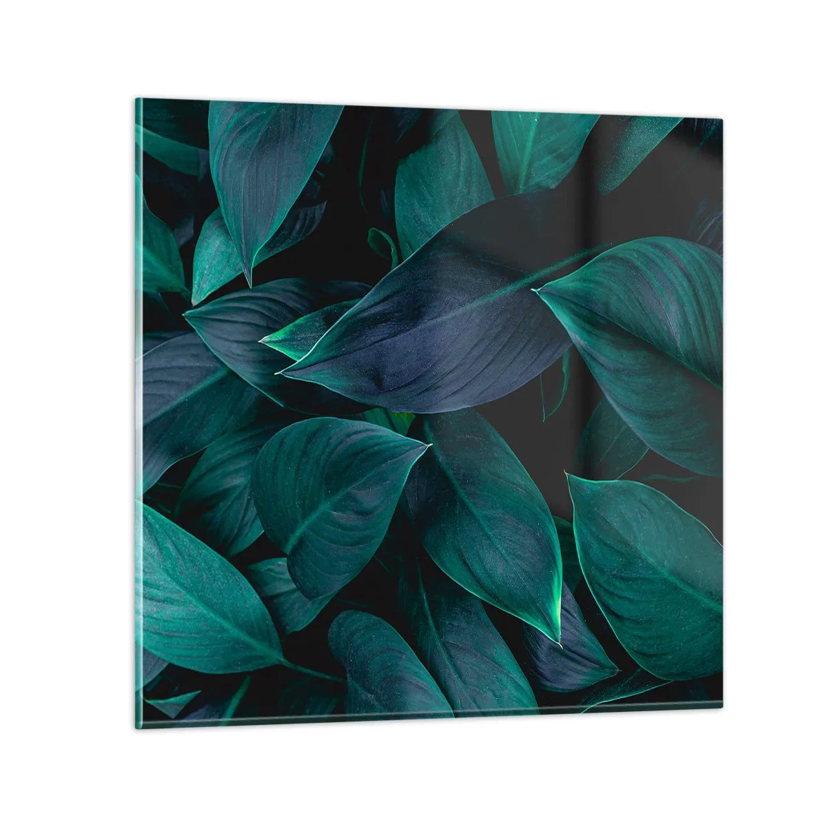 Cuadro sobre vidrio - Impresiones sobre Vidrio - El propio verde - 70x70 cm