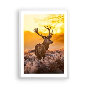 Póster en marco blanco - Rey del bosque de otoño - 50x70 cm