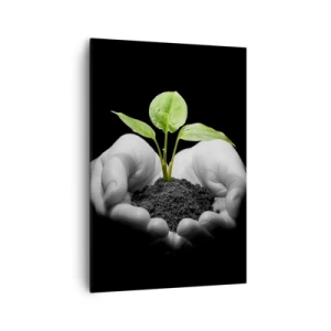 Cuadro sobre lienzo - Impresión de Imagen - Manos sosteniendo una planta verde sobre un fondo negro - 70x100cm - Amo la naturaleza, la protejo - Decoración de pared moderna para salón y dormitorio ARTTOR
