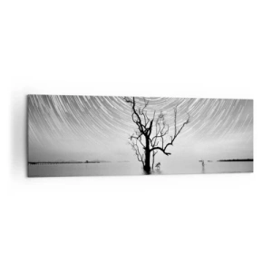 Cuadro sobre lienzo - Impresión de Imagen - Un árbol en el agua bajo un cielo nocturno con estrellas en movimiento. - 160x50cm - Una sinfonía de la naturaleza - Decoración de pared moderna para salón y dormitorio ARTTOR