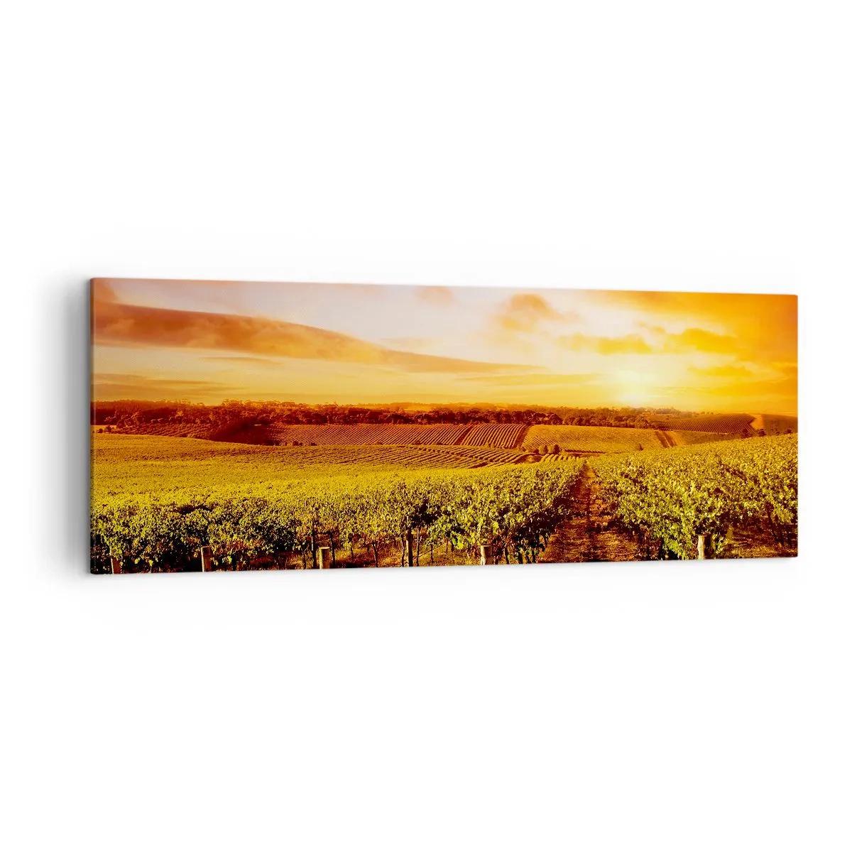 Cuadro sobre lienzo - Impresión de Imagen - Viñedo al atardecer con tonos cálidos del cielo. - 140x50cm - Delicadamente afrutado con un toque de sol - Decoración de pared moderna para salón y dormitorio ARTTOR