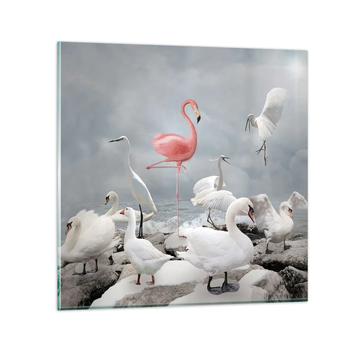 Cuadro sobre vidrio - Impresiones sobre Vidrio - ¿De dónde vengo? - 70x70 cm