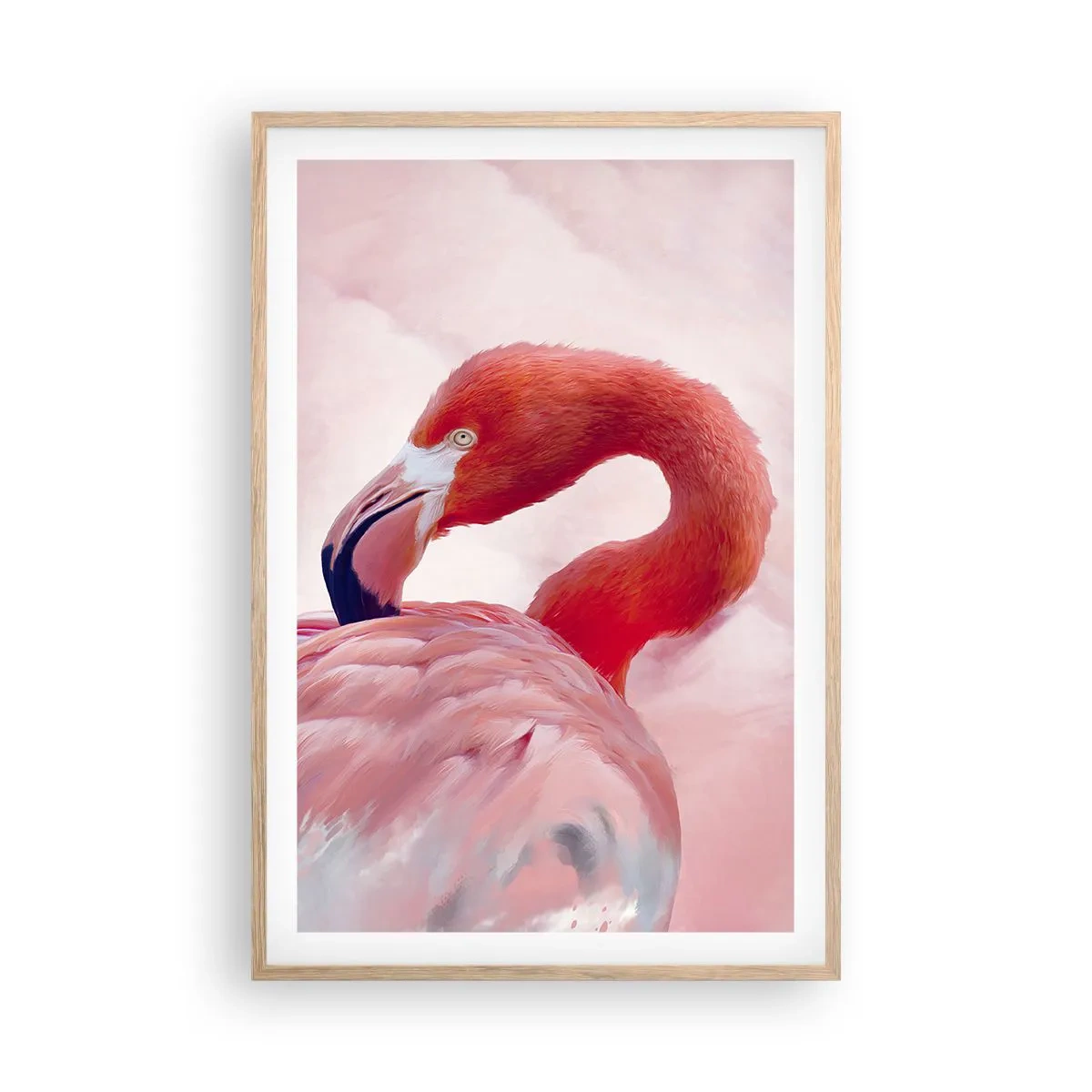 Póster en marco roble claro - La belleza de las aves - 61x91 cm