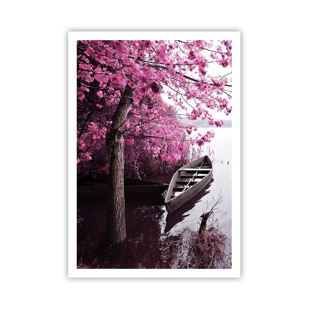 Póster - En el silencio rosa - 70x100 cm