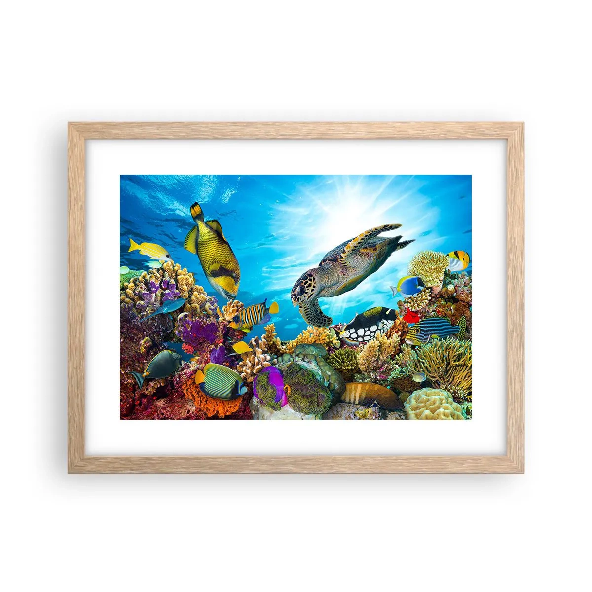 Póster en marco roble claro - Paseo del coral - 40x30 cm