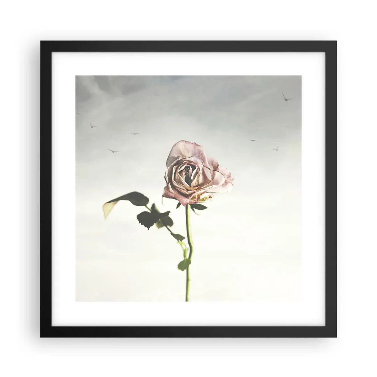 Póster en marco negro - Bienvenida a la primavera - 40x40 cm