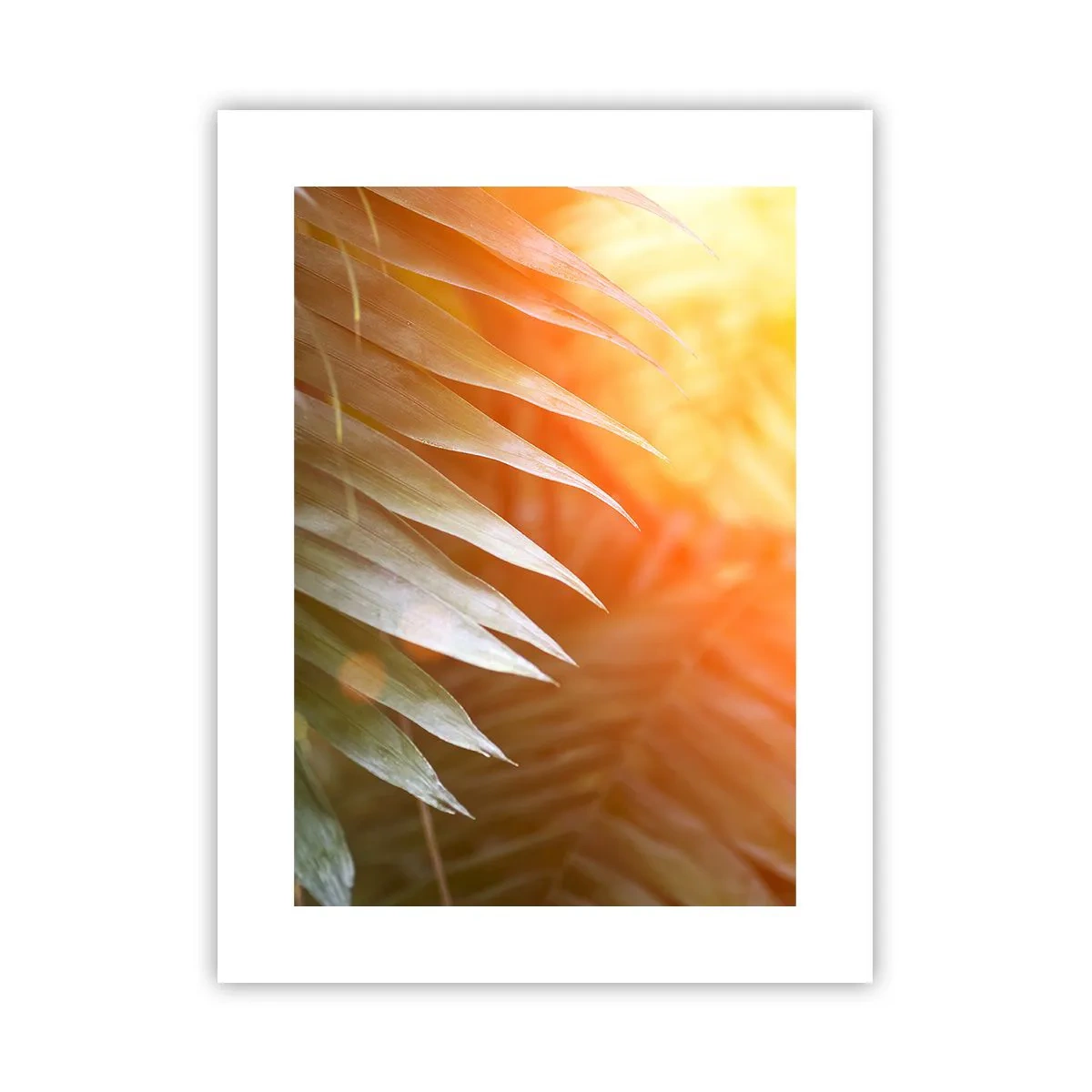 Póster - Mañana en la selva - 30x40 cm