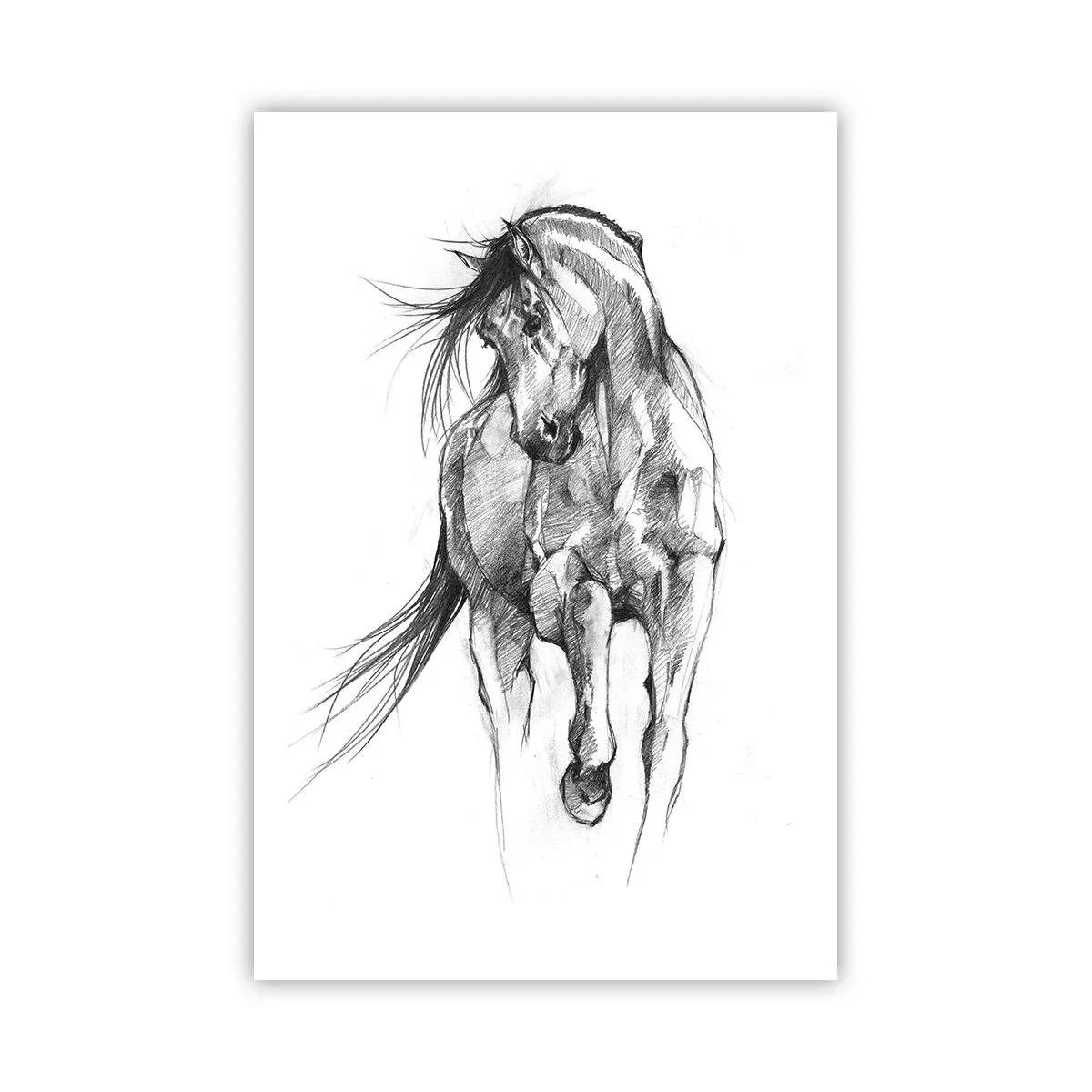 Póster - En un elegante trote - 61x91 cm