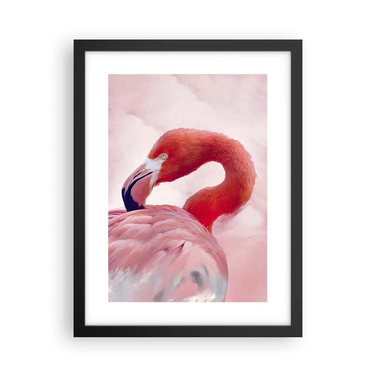 Póster en marco negro - La belleza de las aves - 30x40 cm