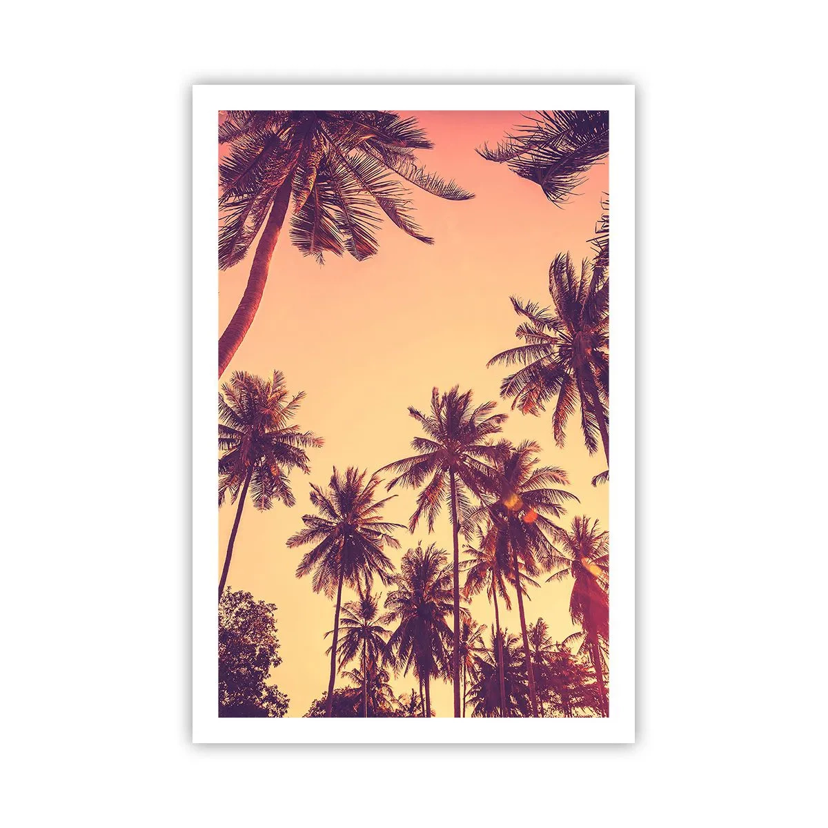 Póster - Variante tropical - 61x91 cm