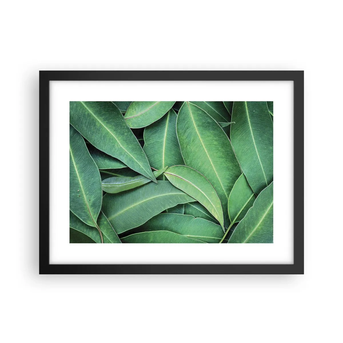 Póster en marco negro - Jugosidad y frescura - 40x30 cm