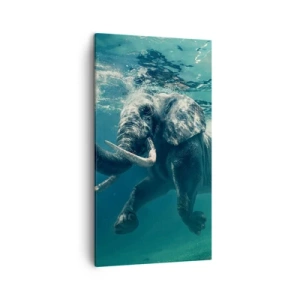Cuadro sobre lienzo - Impresión de Imagen - A todos nos gusta nadar - 45x80 cm