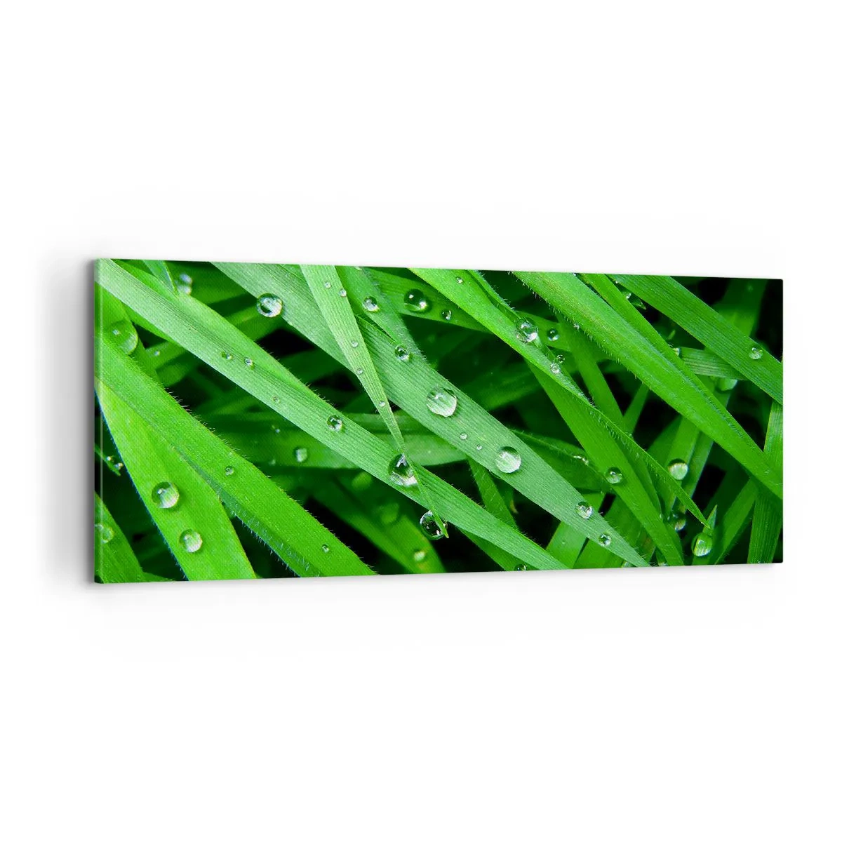 Cuadro sobre lienzo - Impresión de Imagen - Jugar al verde - 100x40 cm