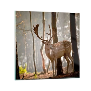 Cuadro sobre vidrio - Impresiones sobre Vidrio - La luz de la juventud - 30x30 cm