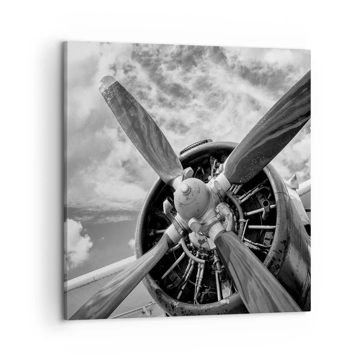 Cuadro sobre lienzo - Impresión de Imagen - Conquistador de los cielos - 50x50 cm
