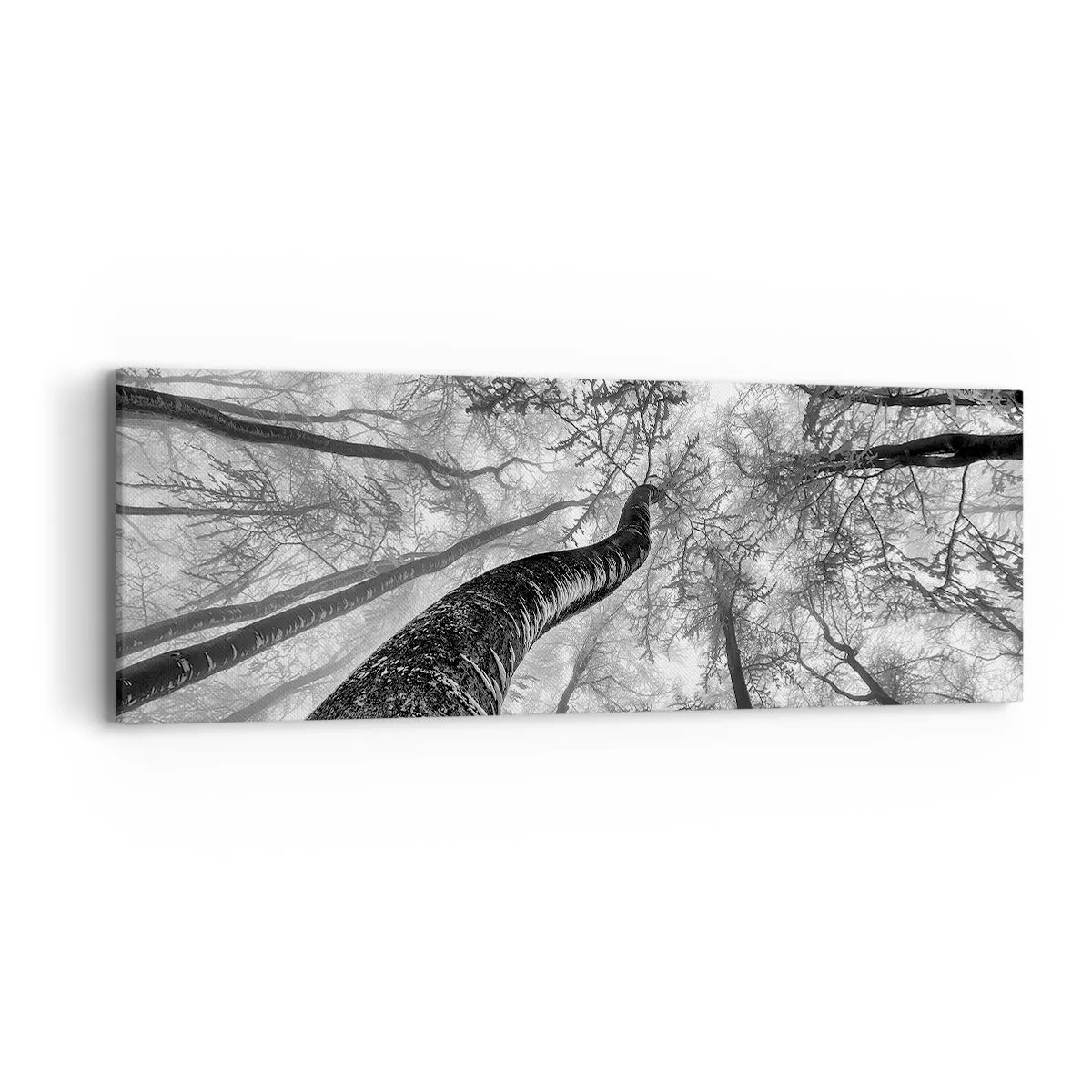 Cuadro sobre lienzo - Impresión de Imagen - Carrera hacia la luz - 90x30 cm