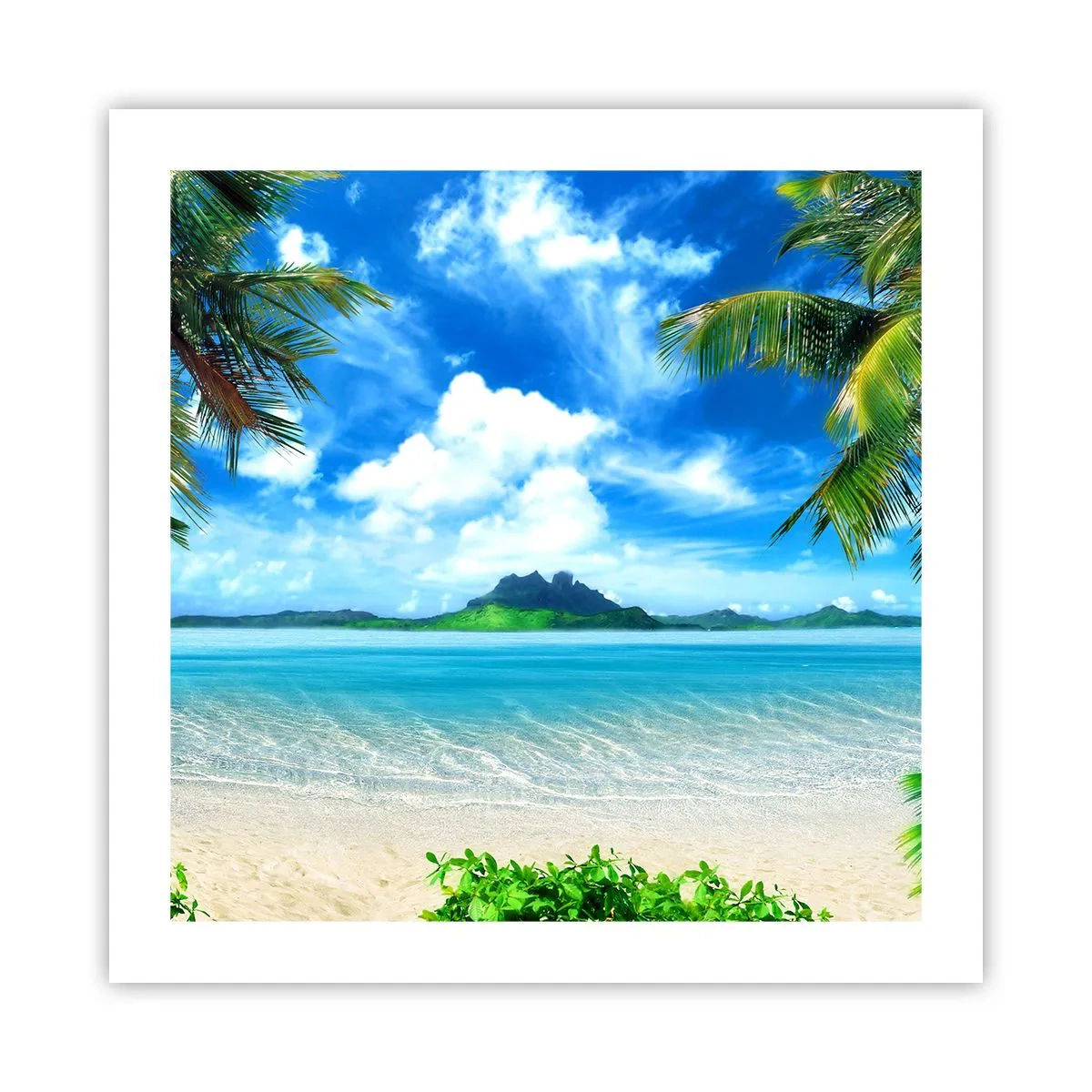 Póster - El azul de los trópicos - 50x50 cm