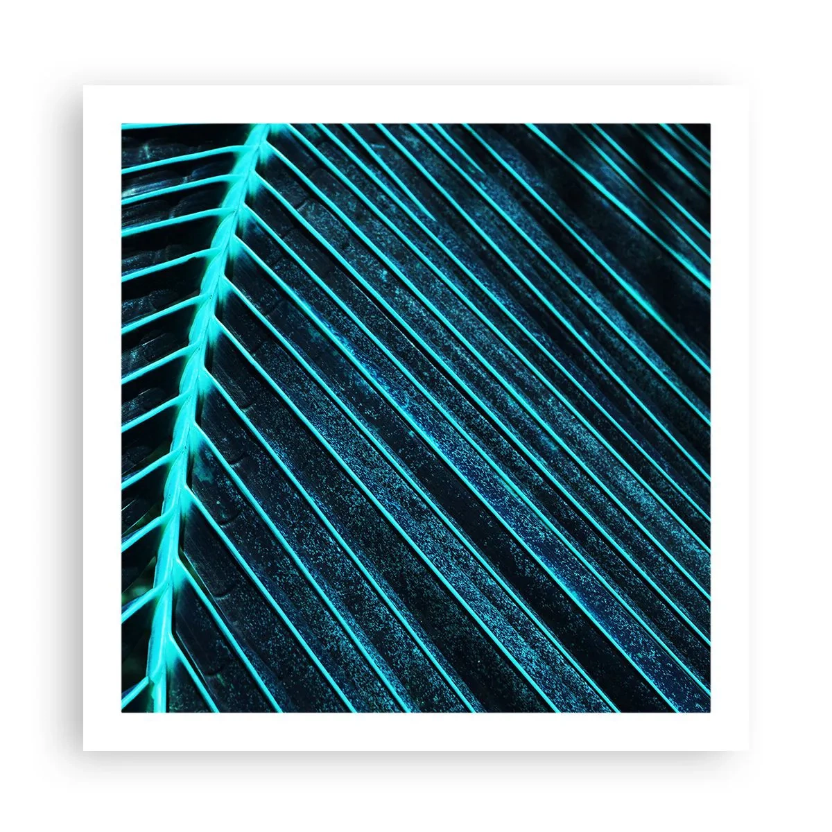 Póster - La textura del verde - 60x60 cm