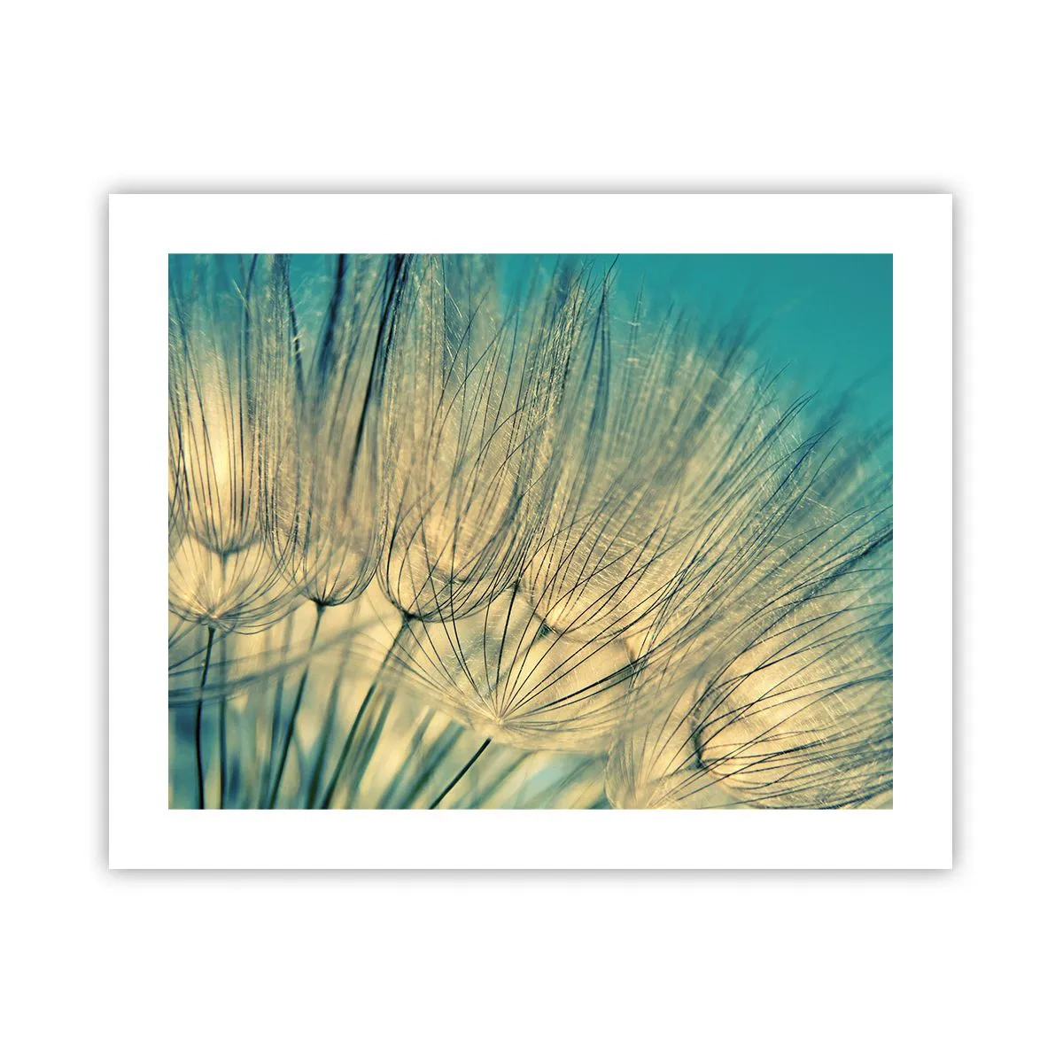 Póster - Esperando el viento - 50x40 cm