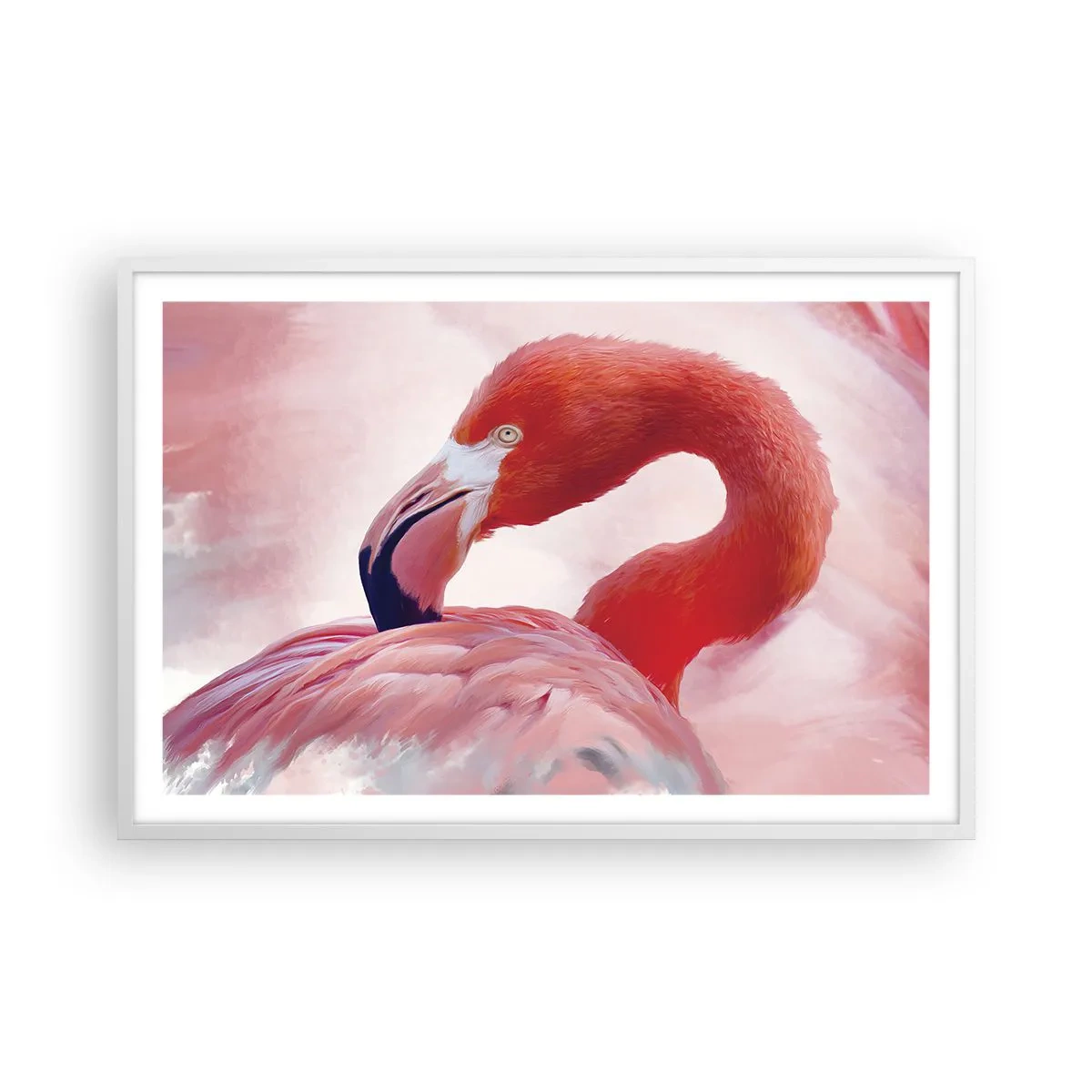 Póster en marco blanco - La belleza de las aves - 91x61 cm