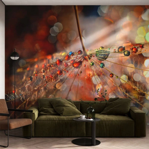 Fotomural Premium Canvas - En una tela de araña - Abstracción, telaraña, Pedazo - 250x175 cm