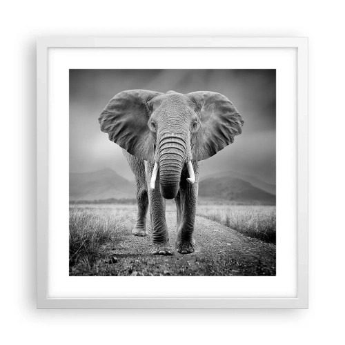 Póster en marco blanco - El anfitrión da la bienvenida - 40x40 cm