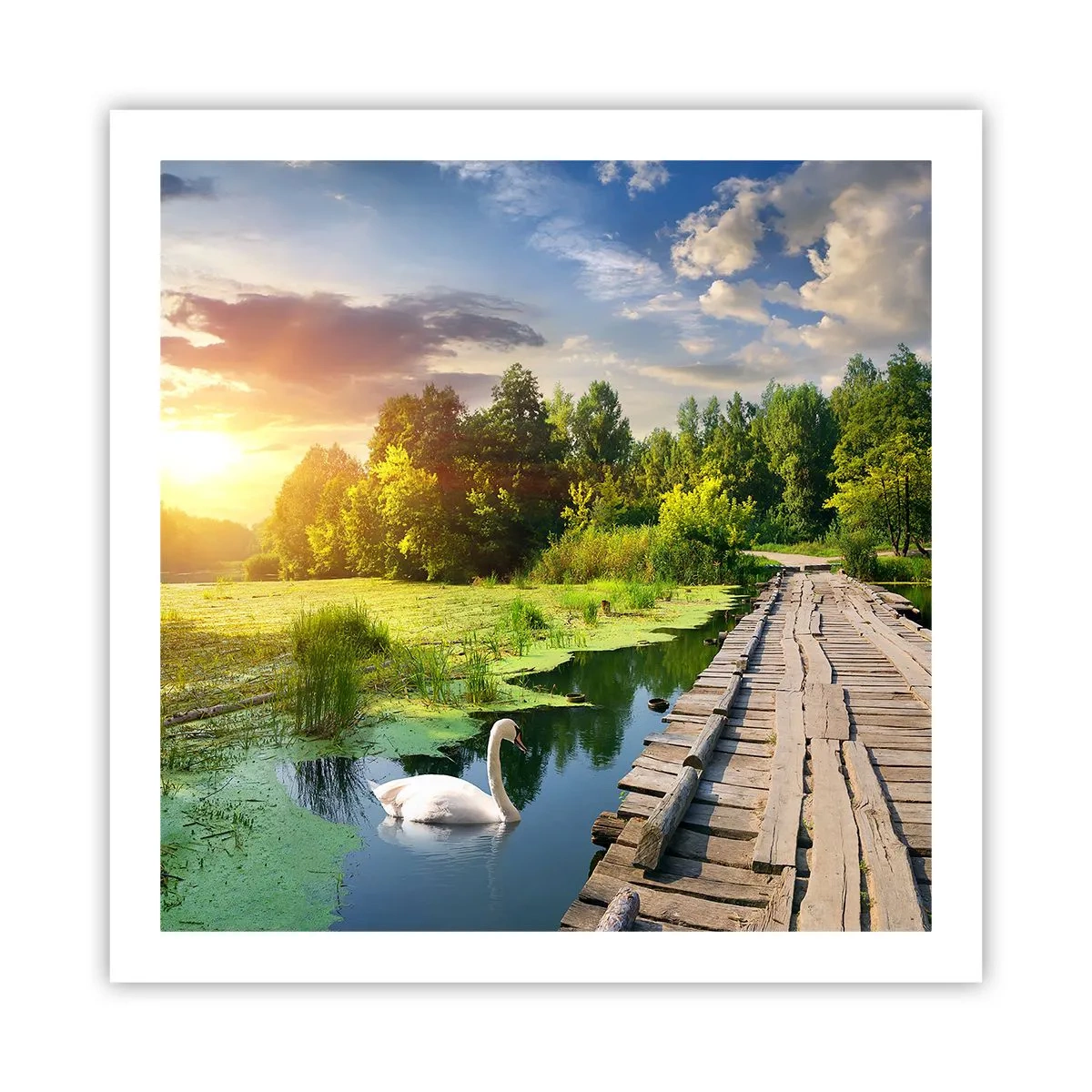 Póster - Verano, verano en todas partes - 60x60 cm