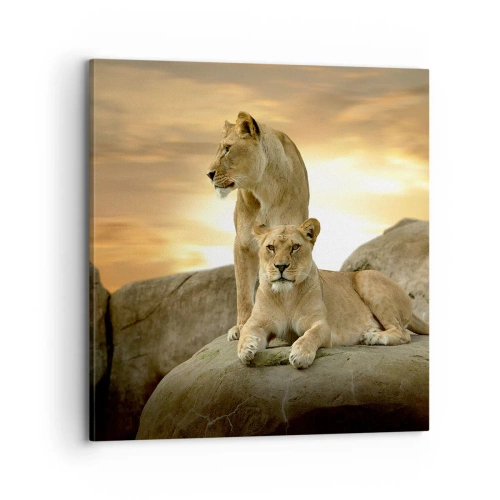 Cuadro sobre lienzo - Impresión de Imagen - Majestuosidad real - 70x70 cm