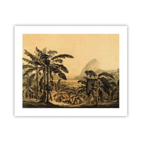 Póster - En un ambiente colonial - 50x40 cm