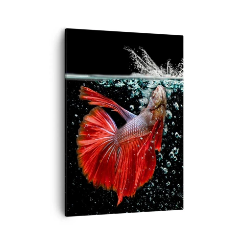 Cuadro sobre lienzo - Impresión de Imagen - Un magnífico betta en el agua sobre un fondo oscuro. - 50x70cm - Tienes tres deseos - Decoración de pared moderna para salón y dormitorio ARTTOR