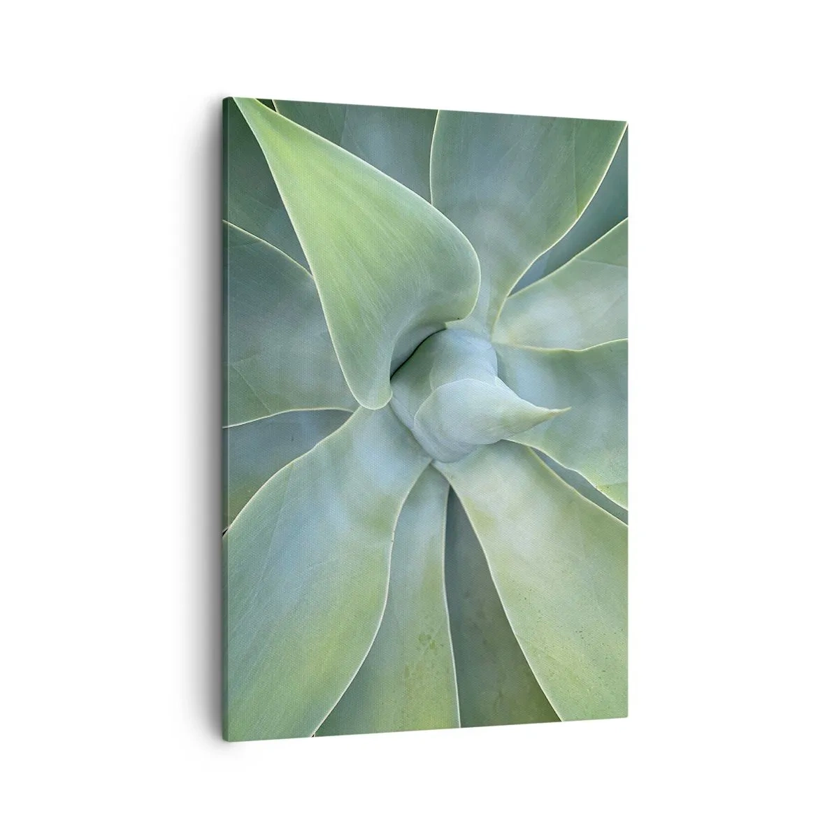 Cuadro sobre lienzo - Impresión de Imagen - Hojas sutiles de agave en tonos verdes. - 50x70cm - El nacimiento del verde - Decoración de pared moderna para salón y dormitorio ARTTOR
