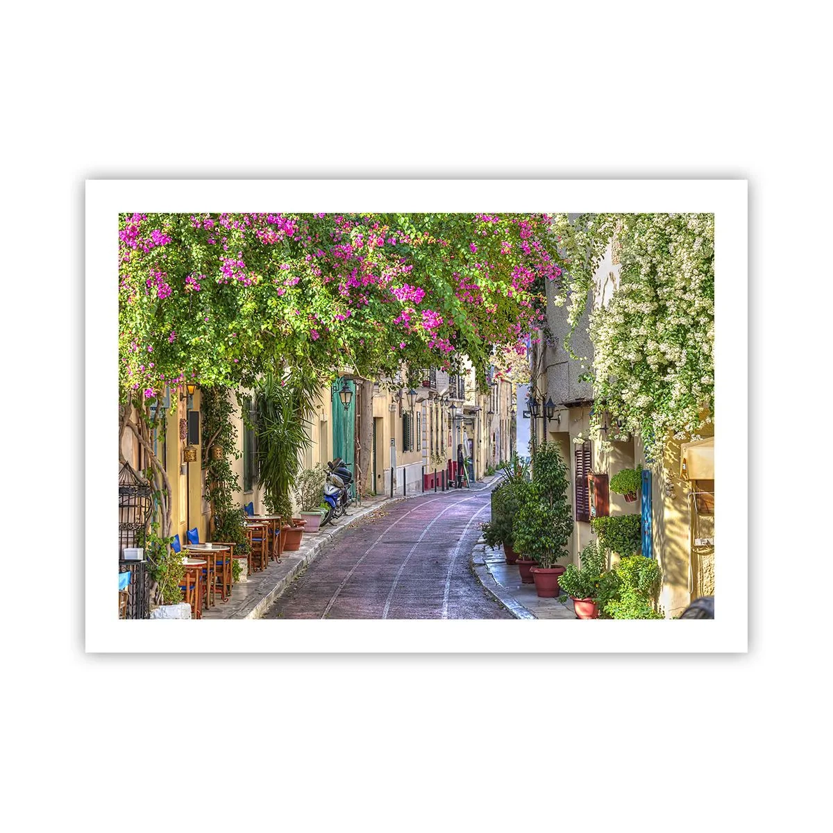 Póster - Un callejón floreciente - 70x50 cm