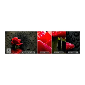 Muestra De Fotomural Standard Eco - Rojo y negro - flores, Rosa, Agua - 100x30 cm
