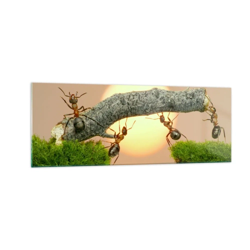 Cuadro sobre vidrio - Impresiones sobre Vidrio - Hormigas construyendo un puente de ramas con el sol poniente como telón de fondo. - 140x50cm - Trabajar juntos con alegría - Decoración de pared moderna para salón y dormitorio ARTTOR