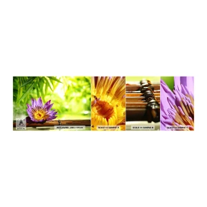 Muestra de fotomural autoadhesivo Deluxe Sticker - Bajo el sol de Asia - Flor, flor de loto, Bambú - 100x30 cm