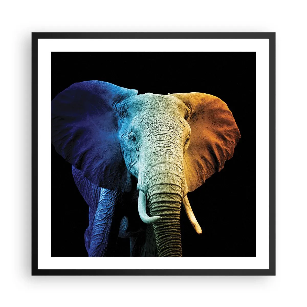 Póster en marco negro - Excéntrico, no un bicho raro - 60x60 cm