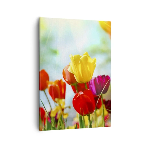 Cuadro sobre lienzo - Impresión de Imagen - Tulipanes coloridos bajo el sol - 50x70cm - Todos los tonos del sol - Decoración de pared moderna para salón y dormitorio ARTTOR