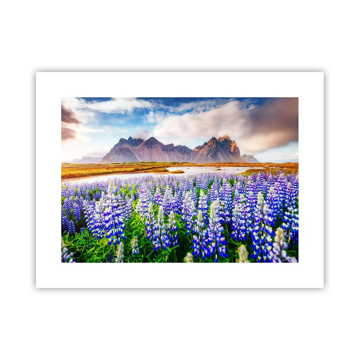 Póster - La fuerza y la severidad junto a la dulzura - 40x30 cm