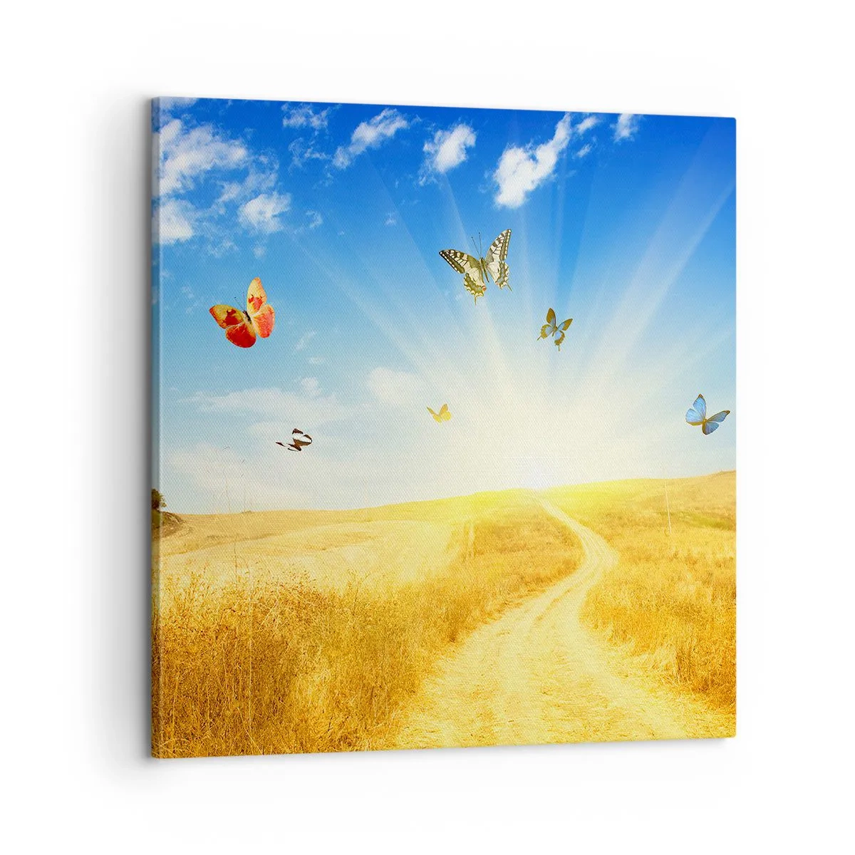 Cuadro sobre lienzo - Impresión de Imagen - ¿Cómo no amar el verano? - 60x60 cm