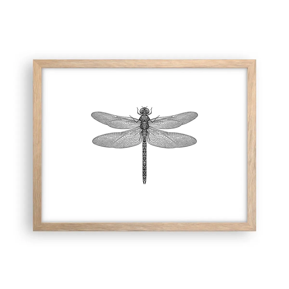 Póster en marco roble claro - Precisión de la naturaleza - 40x30 cm