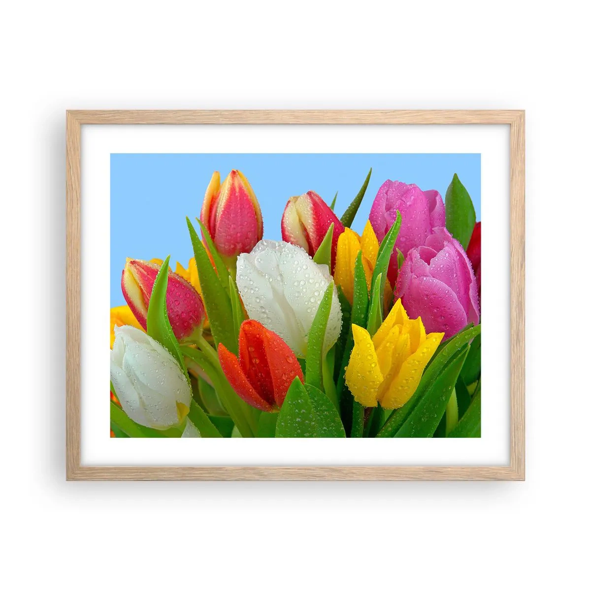 Póster en marco roble claro - Arco iris floral en gotas de rocío - 50x40 cm