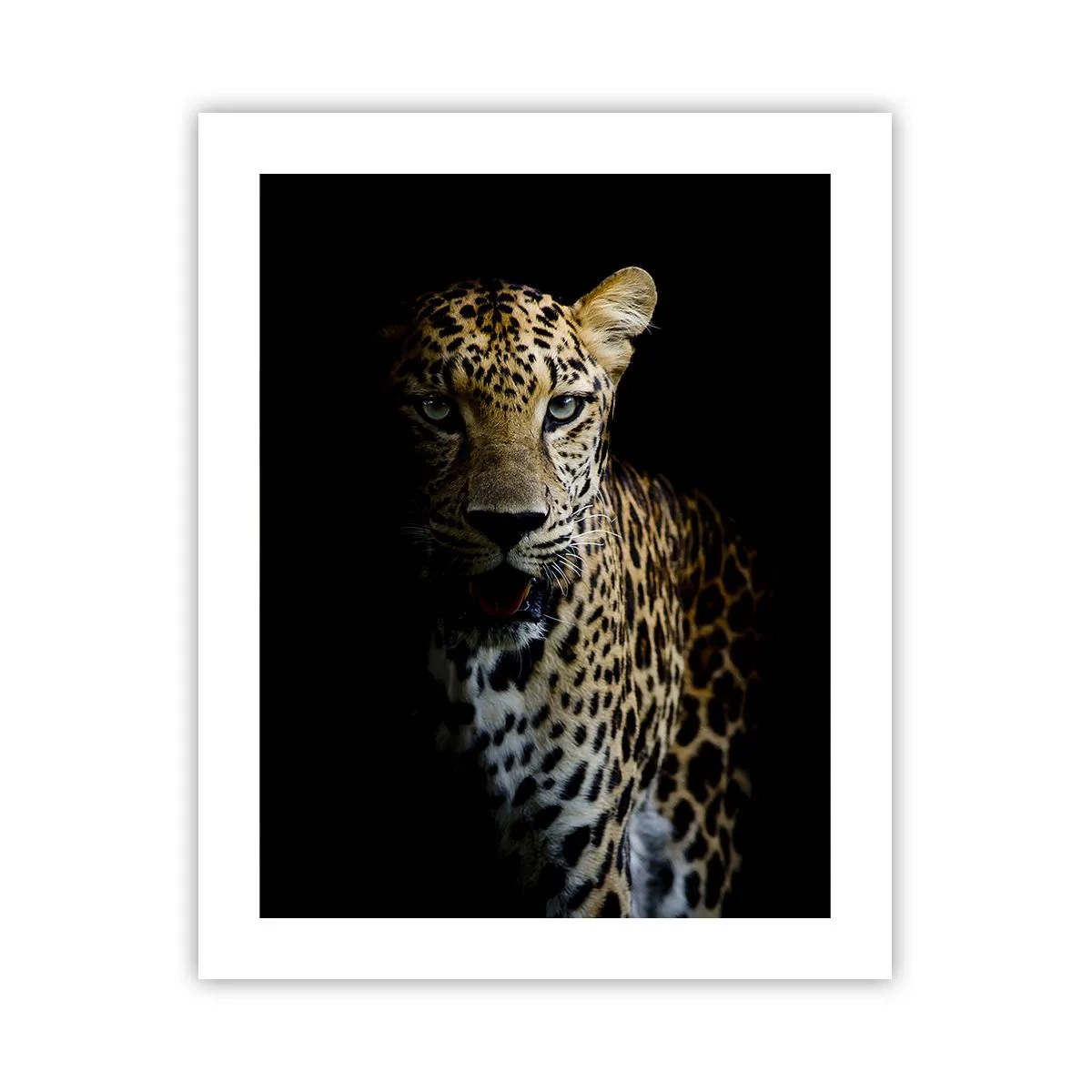 Póster - Belleza oscura - 40x50 cm