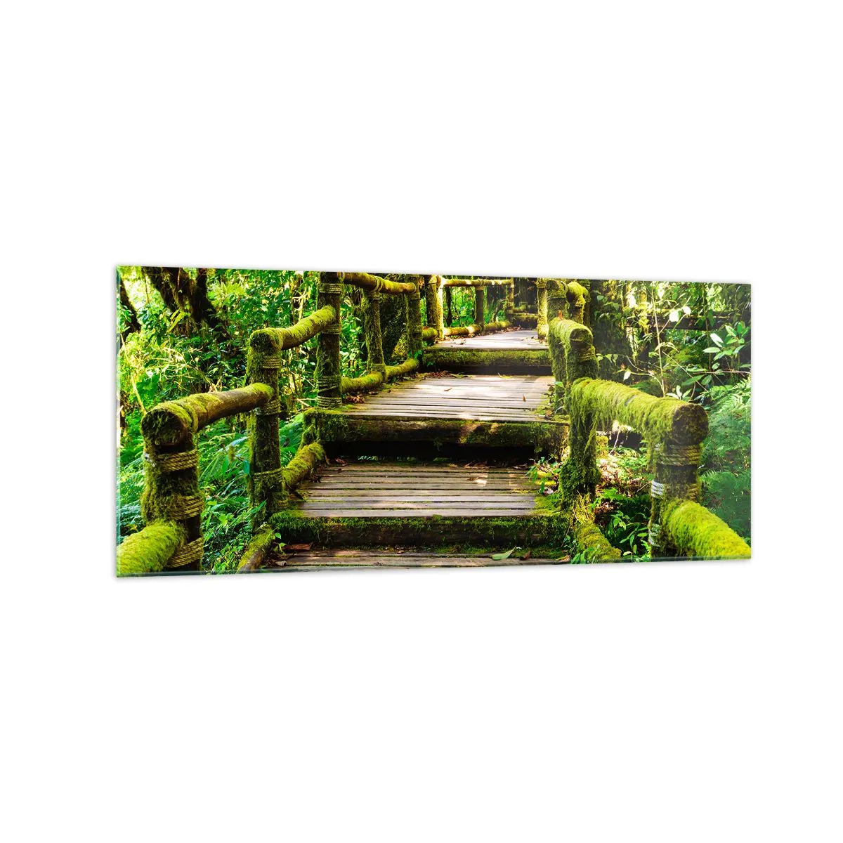Cuadro sobre vidrio - Impresiones sobre Vidrio - Un puente de madera cubierto de musgo en una selva tropical. - 120x50cm - A través de un corredor verde - Decoración de pared moderna para salón y dormitorio ARTTOR