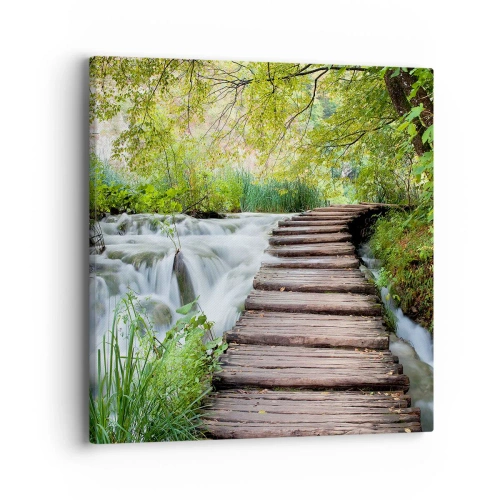 Cuadro sobre lienzo - Impresión de Imagen - No es agua silenciosa en absoluto - 40x40 cm