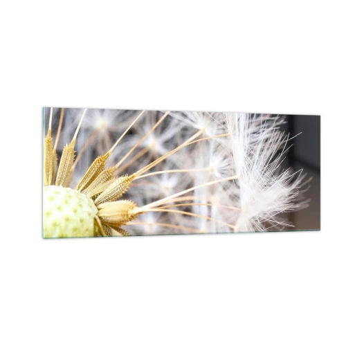 Cuadro sobre vidrio - Impresiones sobre Vidrio - Justo antes de volar - 100x40 cm