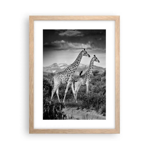 Póster en marco roble claro - La clase alta de África - 30x40 cm