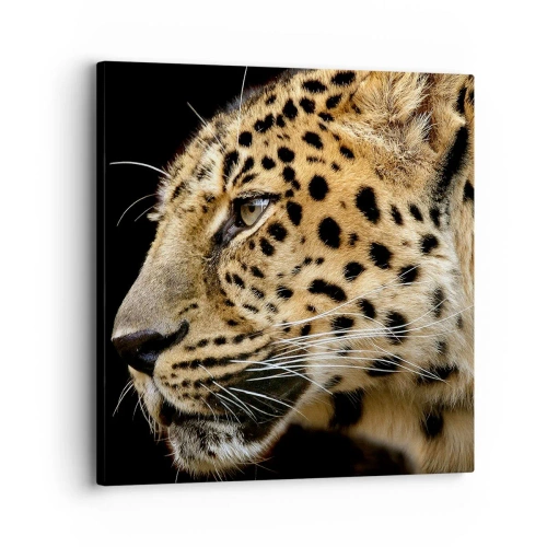 Cuadro sobre lienzo - Impresión de Imagen - Tranquilo, concentrado, preparado - 30x30 cm