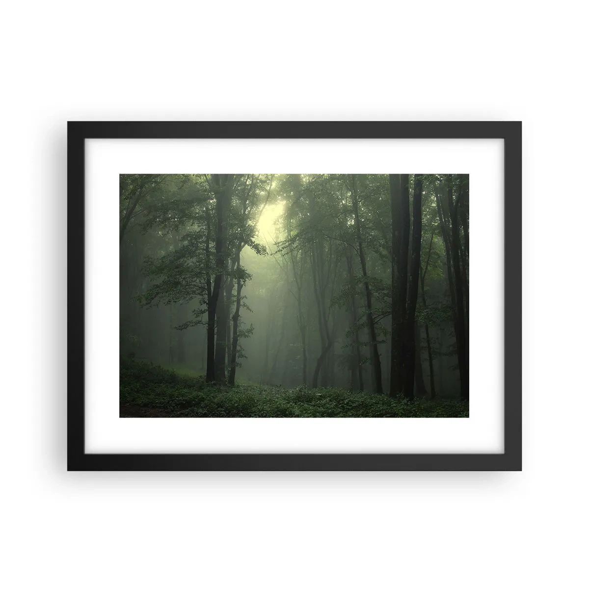 Póster en marco negro - Antes de que se despierte el bosque - 40x30 cm