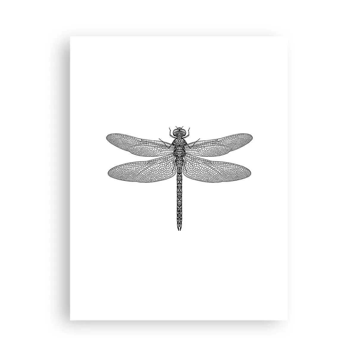 Póster - Precisión de la naturaleza - 30x40 cm