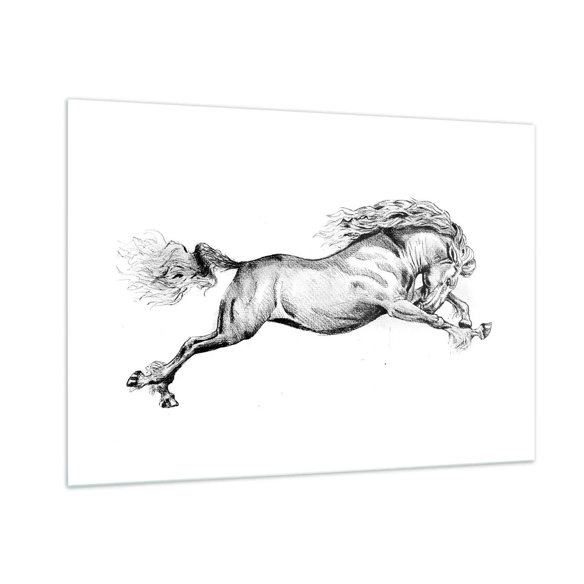 Cuadro sobre vidrio - Impresiones sobre Vidrio - Dibujo en blanco y negro de un caballo al galope. - 100x70cm - Captura al galope - Decoración de pared moderna para salón y dormitorio ARTTOR